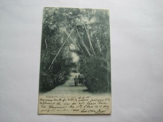 Singapore Straits Settlements Street In Tanglia 1905 Postcard