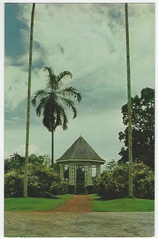 A.  S.  M.  K.  & Co Postcard,  The Botanical Garden,  Singapore