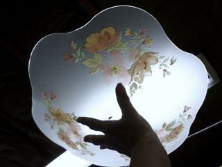 3015m Vtg 16.  5 " Frosted Glass Ceiling Light Shade White Florals Scalloped Shape