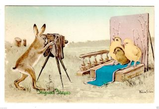 Postcard Easter Rabbit Photographs Chicks Signed Baumfelder 1912