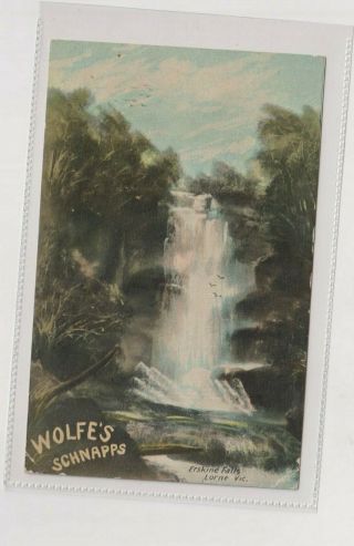 Vintage Postcard F.  W.  Niven Advertising Wolfe 
