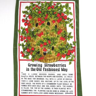 Vintage Red How To Grow Strawberries Tea Dish Kitchen Towel Growing Instructions
