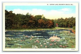 Vintage Postcard Dupont Lake Rehoboth Beach Delaware M1