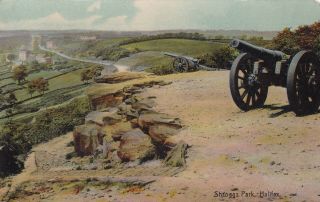 Halifax - Shroggs Park,  Old Cannons,  Lion Series 1910