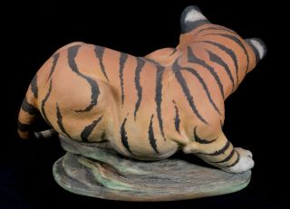 Rare Boehm Large Bengal Tiger Cub (panthera Tigris) Porcelain Figurine 3