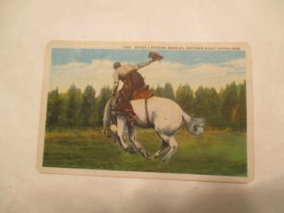 Riding A Bucking Bronco Cowboy Western Postcard
