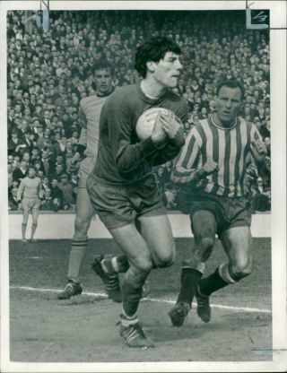 Goalkeeper Phil Parkes,  Wolverhampton Wanderers F.  C.  - Vintage Photo