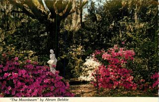Brookgreen Gardens Murrels Inlet South Carolina Sc Moonbeam Postcard