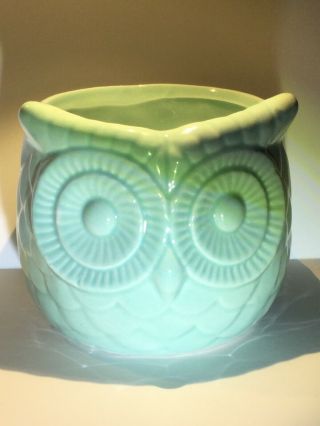 Light Green Owl Planter