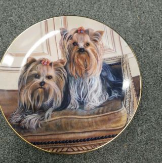 Danbury Pampered Pair Patricia Bourque Yorkie Pals 8 " Rd Plate.