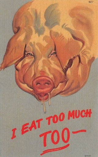 Artist Comic Image Of Large Pig 