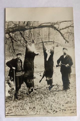 Hunting Whitetail Bucks Savage And Winchester Rifles Real Photo Postcard Rppc