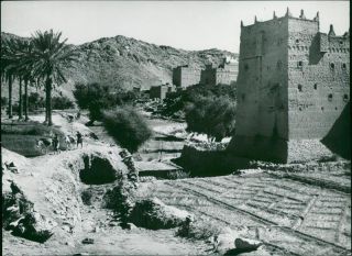 Aden: View Of Said In Western Aden Protectorate.  - Vintage Photo