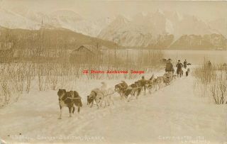 Ak,  Seward - Susitna,  Alaska,  Rppc,  Mail Dog Sleigh,  1914 Pm,  Lh Pedersen Photo