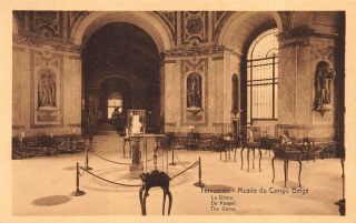 The Dome Tervueren Musee Du Congo Belge Belgium Postcard