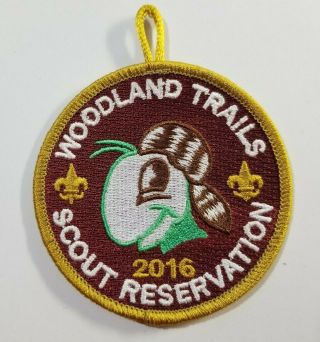 Bsa Boy Scout Patch Woodland Trails Scout Reservation 2016 Cricket