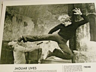 4 1979 8 X 10 Movie Photos Christopher Lee,  Joe Lewis,  Jaguar Lives.  Ds1090
