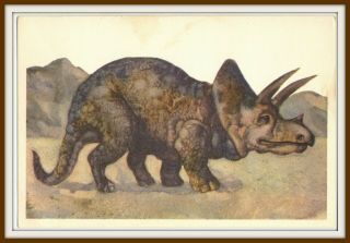 1969 Dinosaur Triceratops Animals Paleontology Art Soviet Vintage Postcard