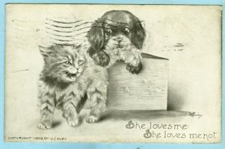 3rd Of 5 Vintage,  " She Loves Me,  She Loves Me Not ",  Puppy Grabs Kitten 
