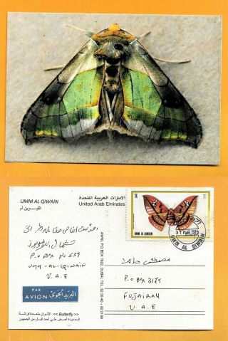 Umm Al Qiwain Postcard Butterfly Stamp Butterfly Rare