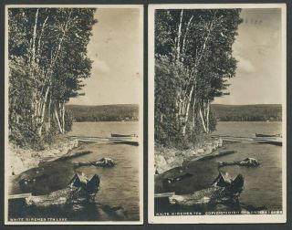 Inlet Ny: Two 1911 Rppc Real Photo Postcards 7th Seventh Lake White Birches