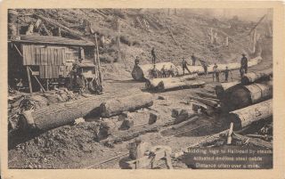 Skidding Logs To Railroad With Steel Cable - Noyo Ca Postmark - Near Fort Bragg