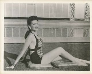 Ann Miller 1940s 8 X 10 Sexy Leggy Cheesecake Pin - Up Photo Vv