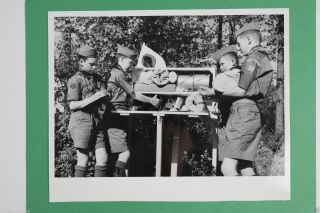 1956 Boy Scouts Vintage 8x10 Photograph - Cub - Troop - B&w - Camp Setup