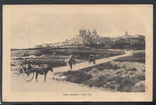 Malta Postcard - Horse And Carts,  Citta Vecchia Rs15387