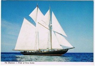 Bluenose Ii Postcard Pride Of Nova Scotia Sailing Ship