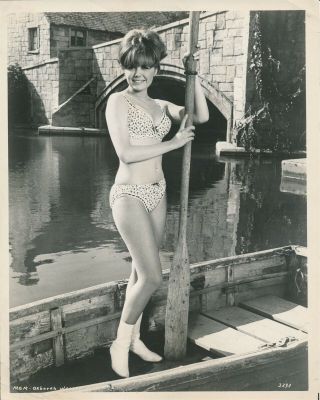Deborah Walley Mgm 1960 Sexy 8 X 10 Cheesecake Bikini Press Photo Vv