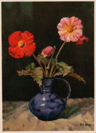 Stehli Artist Signed Flowers In Vase Vintage Postcard No.  2039