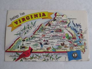 G64 Postcard Greetings From Virginia State Map Va Cardinal