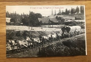 Angels Camp,  California Ca 1910 Postcard Load Of Logs For Mines Mining Logging