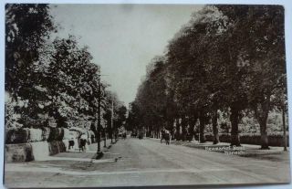 Real Photo Postcard Newmarket Road Norwich