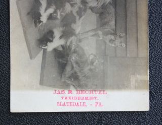Circa 1906 J R Bechtel Taxidermist,  Slatedale PA Advertising Real Photo Postcard 4