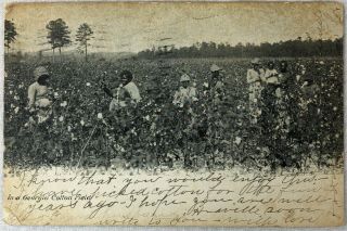 Vintage Post Card Women In Cotton Field Picking Scene Georgia Southern State