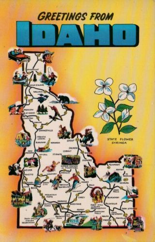 Greetings From Idaho Vintage Map Postcard