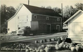 Connecticut Photo Postcard: Pumpkins At Allen 
