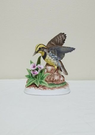 Meadowlark 7703 Andrea By Sadek,  Vintage Porcelain Bird Figurine W/ Wooden Base