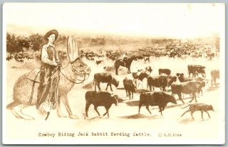 Exaggerated Cowboy Riding Rabbit Herding Cattle Vintage Real Photo Postcard Rppc