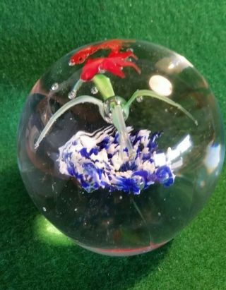 Dynasty Gallery Solid Art Glass Red Tadpoles Design Blue,  Red,  White,  & Green