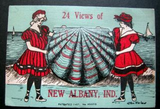 Albany Indiana - 1900s Novelty Postcard - Foldout - Shell Cover - 24 Views