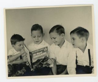 Boys Reading Book - All About Dinosaurs Vintage Color Snapshot Photo