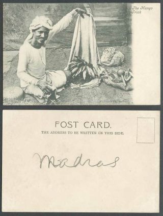India Old Ub Postcard The Mango Trick,  Native Indian Juggler Madras Street Magic