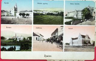 Żywiec,  Poland,  Post Card 1905 - 15 Bielsko - Biała Voivodeship,  Street Scene