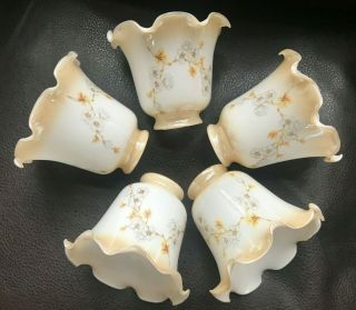 5 Dogwood Floral Amber Art Glass Globes Light Fixture Lamp Shade Ceiling Fan Vtg