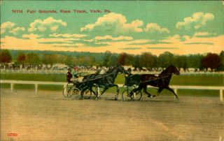 1910 Postcard Harness & Horse Racing York Pennsylvania Trotters In The Stretch