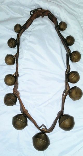 13 Antique Rare Fluted Brass Horse Cow Sleigh Bells Leather On Collar Reindeer