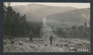 1934 Fire Line U.  S.  Forest Service Photo Arapaho National Forest